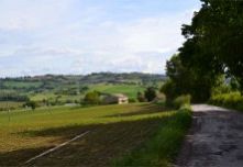 RUSTICO-CASALE CARTOCETO