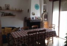 GALLO CASA A SCHIERA