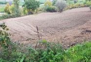 TERRENO TREBBIO DI MONTEGRIDOLFO