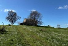 RUSTICO/CASALE VICINANZE MONTECCHIO