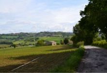 RUSTICO-CASALE CARTOCETO OCCASIONE