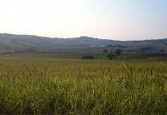 casale da ristrutturare Pesaro