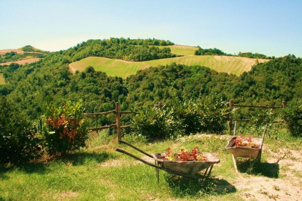 vista panoramica a urbino